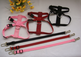 harness & leash