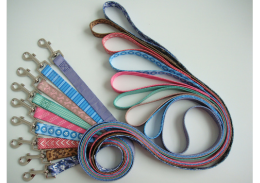 multicolor dog leash